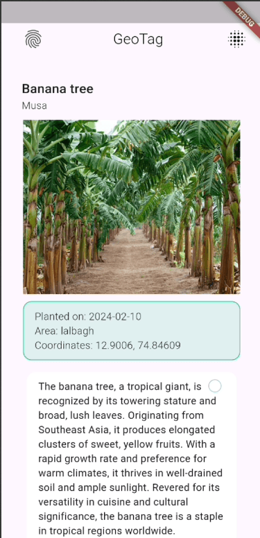 startup template